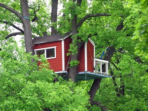 Дом для детей на дереве