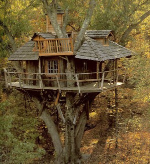 Уютный дом на дереве для детей