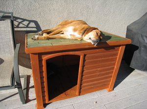 Изготовление будки для собак