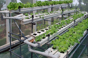 Гидропоника – оборудование для выращивания овощей, цветов, раствор, светильники, поддоны, видео