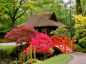 Сад японский
