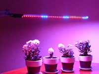 Лампы для комнатных цветов