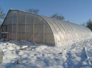 Как построить теплицу для зимнего выращивания саженцев