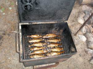 Коптильня для копчения горячего рыбы